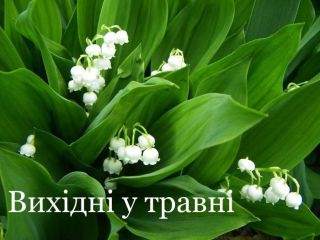 Графік обслуговування підрозділів УДМС у Кіровоградській області  на свята