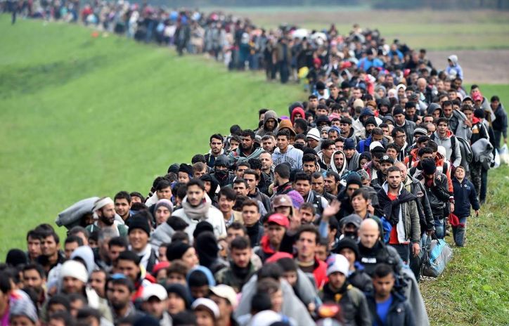20 червня – Всесвітній день біженців: на обліках Міграційної служби Полтавщини зареєстровані 24 шукачі захисту