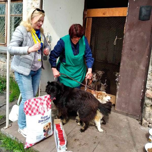 На Дніпропетровщині працівники ДМС опікуються тваринами у притулку: приносять корм для чотирилапих