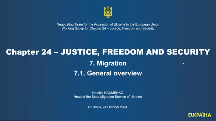 Зустріч «Україна-ЄС»: Голова ДМС презентувала звіт щодо приведення національного законодавства з питань міграції до норм Євросоюзу