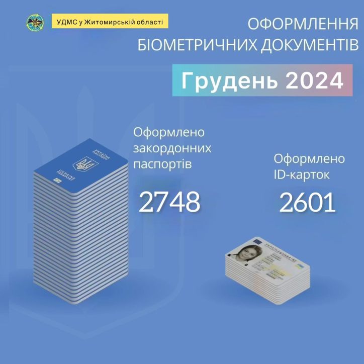 Інфографіка про кількість паспортів, оформлених у грудні 2024 року