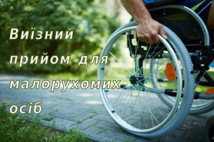 Безбар’єрність в дії: виїзний прийом працівників ДМС для малорухомих осіб