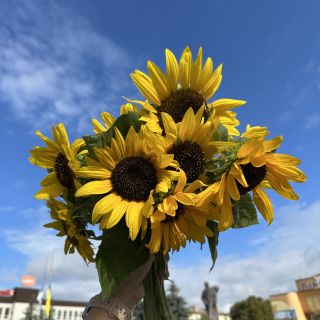 УДМС у Рівненській області долучилося до акції пам’яті «Сонях»