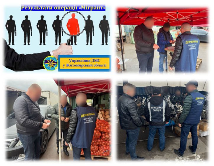 Результати операції «Мігрант» на Житомирщині