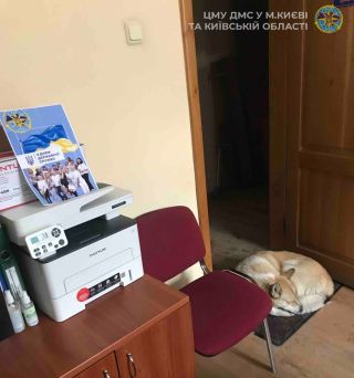 Маленькі історії доброти — найбільші докази людяності